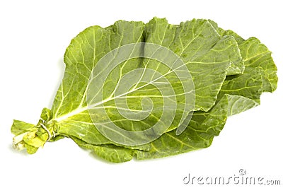 Collard Greens Stock Photo