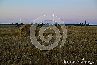 Collected into rolls of hay Stock Photo