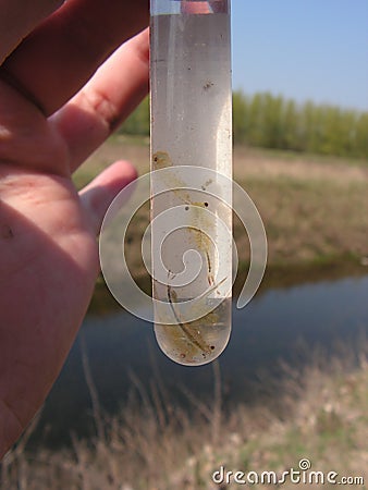 Collecting field samples Stock Photo