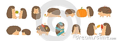 Collection of adorable hedgehogs carrying mushrooms and berries, playing with autumn leaves, sleeping. Set of cute Vector Illustration