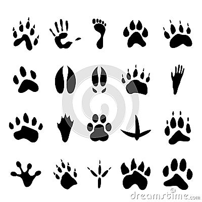 Collection of 20 animal and human footprints Vector Illustration