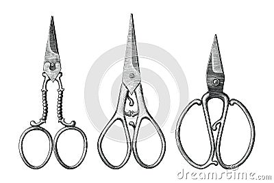 Collection of antique scissors hand draw vintage style black and white clip art isolated on white background,Vintage scissors rare Vector Illustration