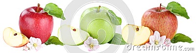 Collection of apple fruit apples fruits slice sliced blossom iso Stock Photo