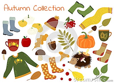 Collection of autumn vector pictures. A set of autumn items - leaves, pumpkin, sweater, scarf and more. Vector Illustration