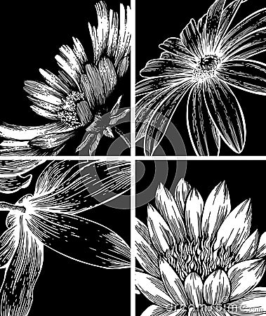 Collection of backgrounds with flowers. Vector Illustration