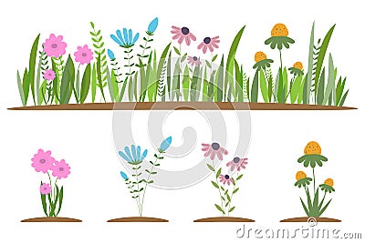 Collection of beautiful wild herbs, herbaceous flowering plants, blooming flowers, shrubs and subshrubs isolated on white Vector Illustration