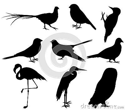 Collection of Bird Silhouettes Vector Illustration