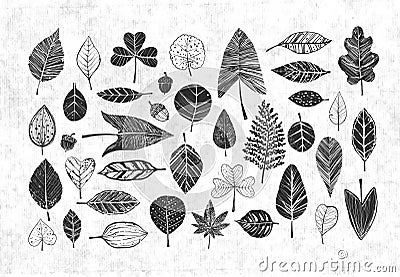 Collection of black doodle leaves on old paper background Vector Illustration