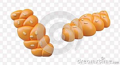 Collection of braided bread in different positions Vector Illustration