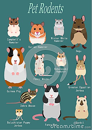 Collection of pet rodents Vector Illustration