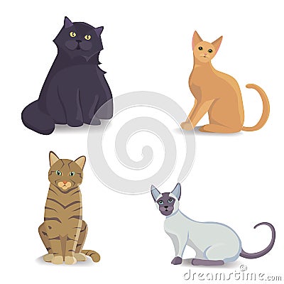 Collection Cats of Different Breeds. Vector isolated cat on white background. Home animal or pets. Fanny kittens faces Vector Illustration