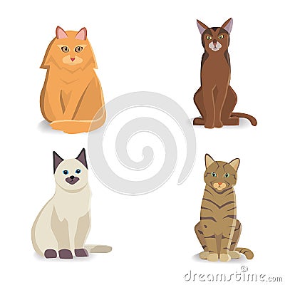 Collection Cats of Different Breeds. Vector isolated cat on white background. Home animal or pets. Fanny kittens faces Vector Illustration