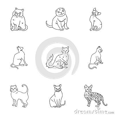 Collection of cats in one picture. Different cats in one picture. Cat breeds icon in set collection on outline style Vector Illustration