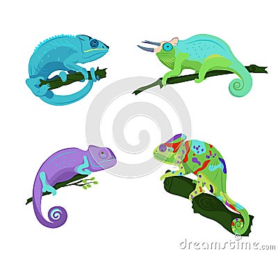 Collection of chameleons of different types and colors sitting on a branch on a white background, vector illustration. Vector Illustration