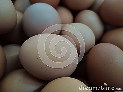 collection of chicken eggs, egg prices fluctuate Stock Photo