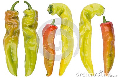 Collection chili pepper isolated on white Stock Photo