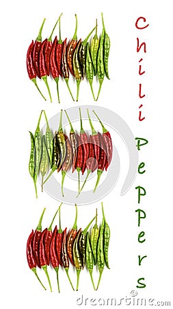 Collection of Chili Peppers Stock Photo