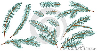 Collection Christmas Fir Tree Branch. New year green sketch branches set. Firtree or pine. Xmas spruce decoration Cartoon Illustration