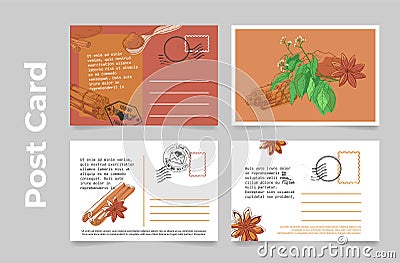 Collection cinnamon design postcard vector greeting postal message with spices seasoning condiment Vector Illustration