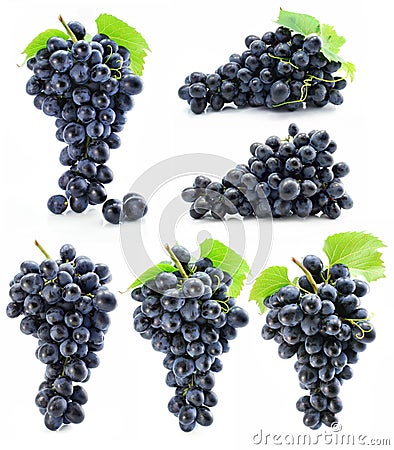 Collection cluster of blue grape isolated Stock Photo