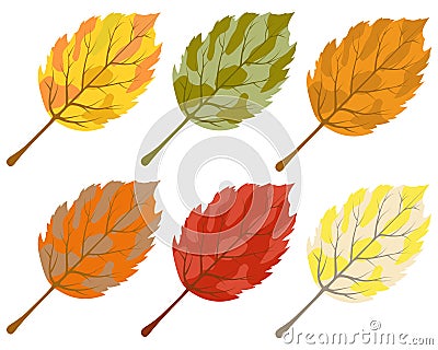 Collection of color autumn leaves Vector Illustration