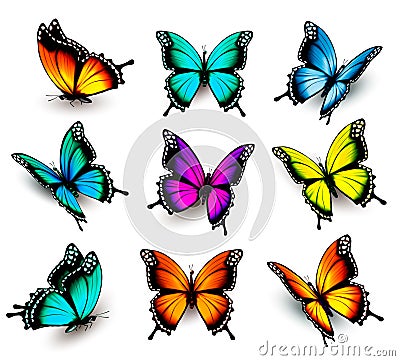 Collection of colorful butterflies Vector Illustration