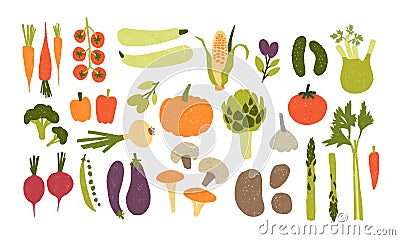 Collection of colorful hand drawn fresh delicious vegetables isolated on white background. Bundle of healthy and tasty Vector Illustration