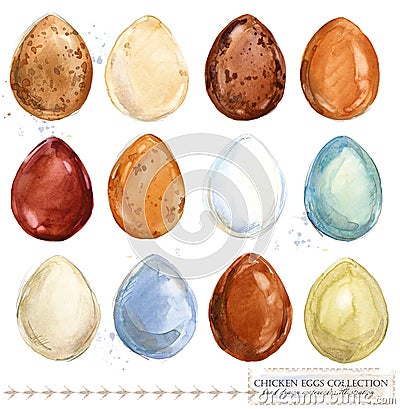 Collection of colorful watercolor chicken eggs Stock Photo