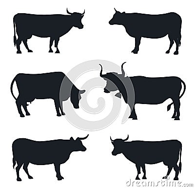 Collection of Cows isolated vector isolated silhouettes Stock Photo
