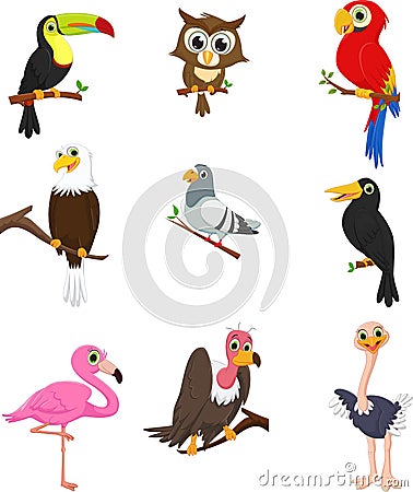 Collection of cute birds on a tree branch Vector Illustration