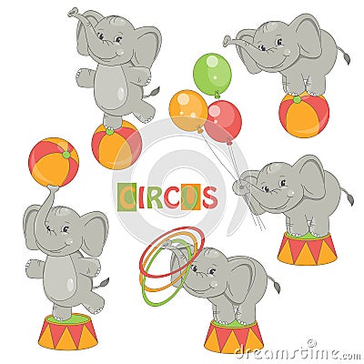 Collection of cute circus elephant Vector Illustration