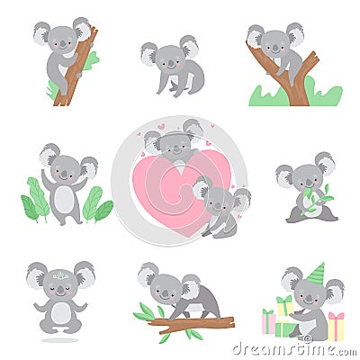 Collection of Cute Coala Bear Animals Cartoon Characters in Different Situations Vector Illustration Vector Illustration