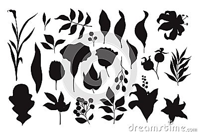 Collection of cute floral flower doodle isolated vector isolated silhouettes Vector Illustration