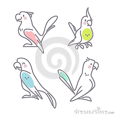 Collection of cute funny exotic macaw and ara parrots characters isolated on white background. Vector Illustration