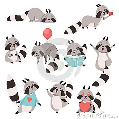 Collection of Cute Funny Raccoon Animal Cartoon Character in Different Situations Vector Illustration Vector Illustration