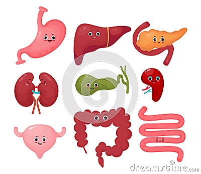 Collection cute human cartoon organs. Gastrointestinal tract. Vector flat cartoon character illustration design. Anatomy Vector Illustration