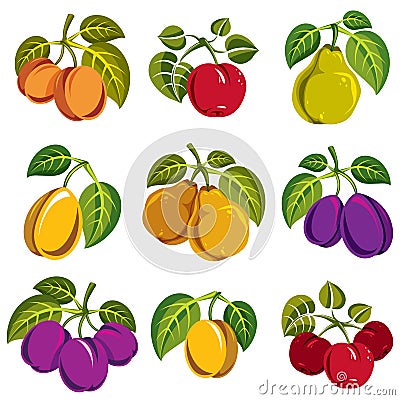 Collection of 3d simple fruits vector icons with green leaves, h Vector Illustration