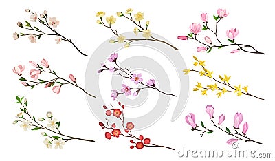 Set of blooming branches of fruit trees. Twigs with flowers and green leaves. Nature theme. Detailed flat vector icons Vector Illustration