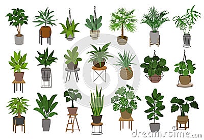 Collection of different decor house indoor garden plants in pots and stands Vector Illustration