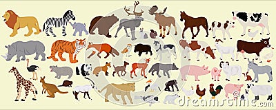 A collection of different farm animals, African and Australian Stock Photo