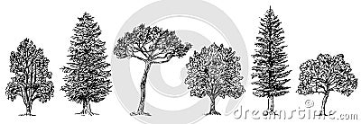 Collection of different kinds of trees. Vector Illustration