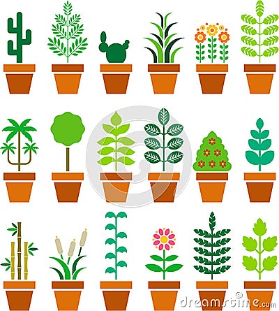 Set of sized plants in a pot Vector Illustration