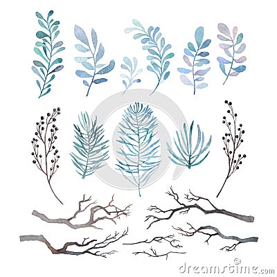 Watercolor set of winter branches Stock Photo