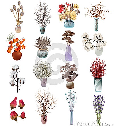 Collection Of Dry Flowers Bouquets In Vases Vector Illustration