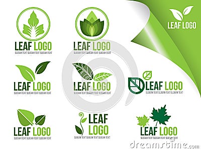 Collection Of Ecology Logo Symbols, Organic Green Leaf Vector Design Vector Illustration