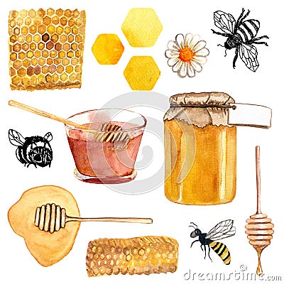 Collection of elements on the theme of honey Cartoon Illustration