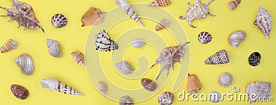 Collection of exotic seashells arranged on whole yellow background Stock Photo