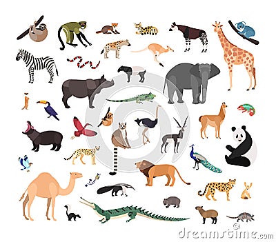 Collection of exotic wild animals isolated on white background. Bundle of fauna species living in savannah, jungle and Vector Illustration