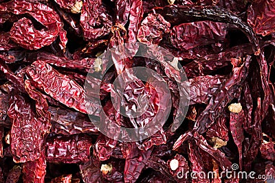 Collection of famous spicy kashmiri dry red chillies. Stock Photo