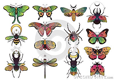 Collection of fantasy colorful insects for design. Vector graphics Vector Illustration
